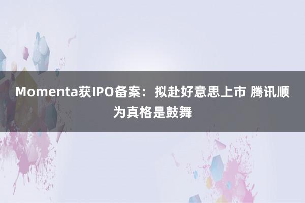 Momenta获IPO备案：拟赴好意思上市 腾讯顺为真格是鼓舞