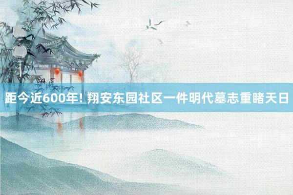 距今近600年! 翔安东园社区一件明代墓志重睹天日