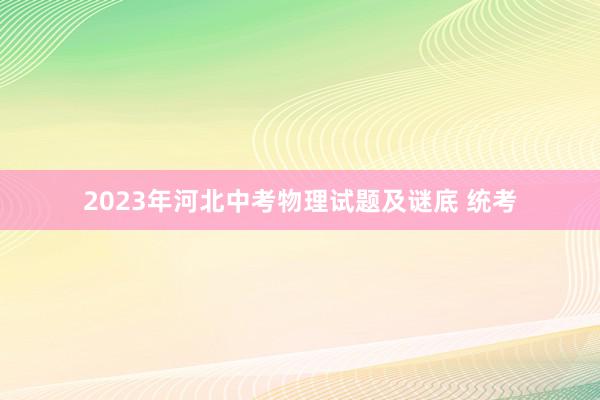 2023年河北中考物理试题及谜底 统考