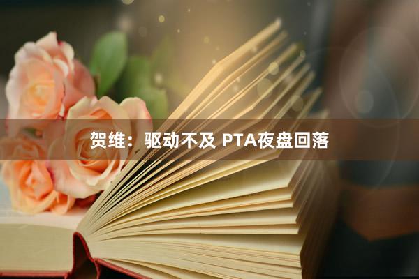 贺维：驱动不及 PTA夜盘回落