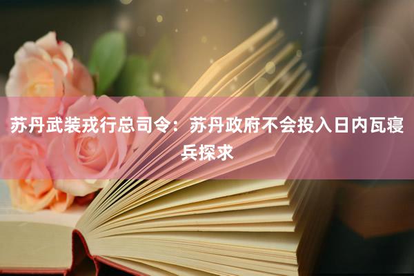 苏丹武装戎行总司令：苏丹政府不会投入日内瓦寝兵探求