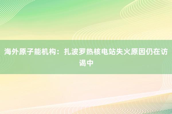 海外原子能机构：扎波罗热核电站失火原因仍在访谒中