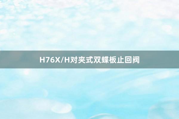 H76X/H对夹式双蝶板止回阀