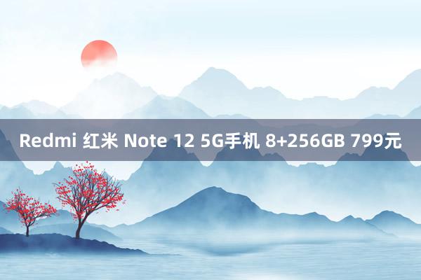 Redmi 红米 Note 12 5G手机 8+256GB 799元