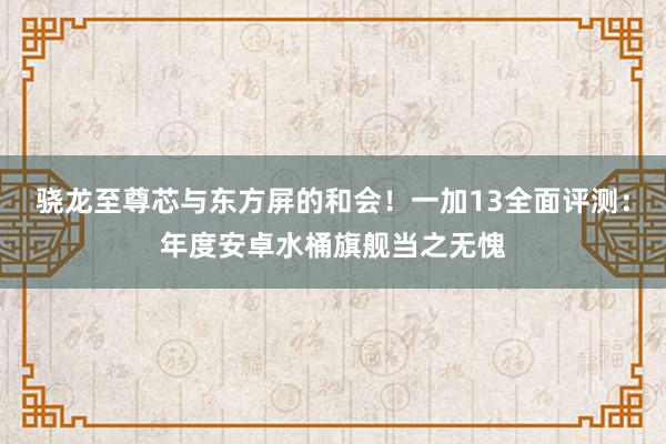 骁龙至尊芯与东方屏的和会！一加13全面评测：年度安卓水桶旗舰当之无愧