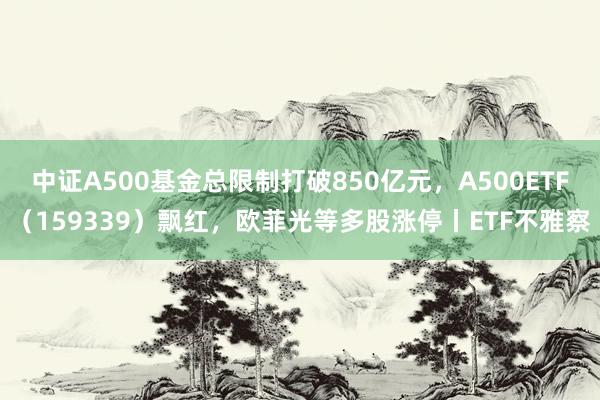 中证A500基金总限制打破850亿元，A500ETF（159339）飘红，欧菲光等多股涨停丨ETF不雅察