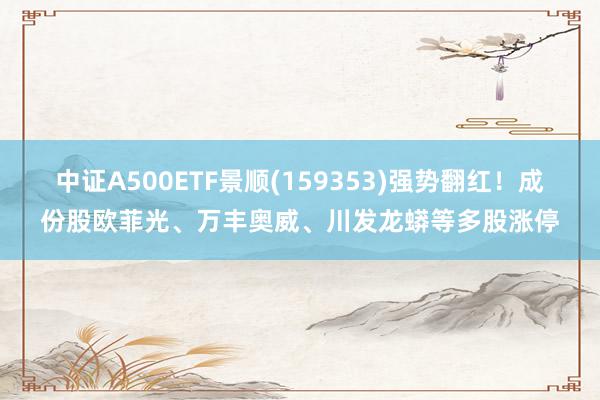 中证A500ETF景顺(159353)强势翻红！成份股欧菲光、万丰奥威、川发龙蟒等多股涨停